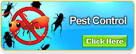 Pest Control Sydney, Pest Control Melbourne